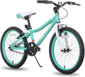 HILAND 20 Inch Kids' Bicycles Mountain Bike for Boys, Girls 5+ Years Old, Single Speed Kids Bicycles with Dual Handbrakes, Child Bike | Kids Bicycles